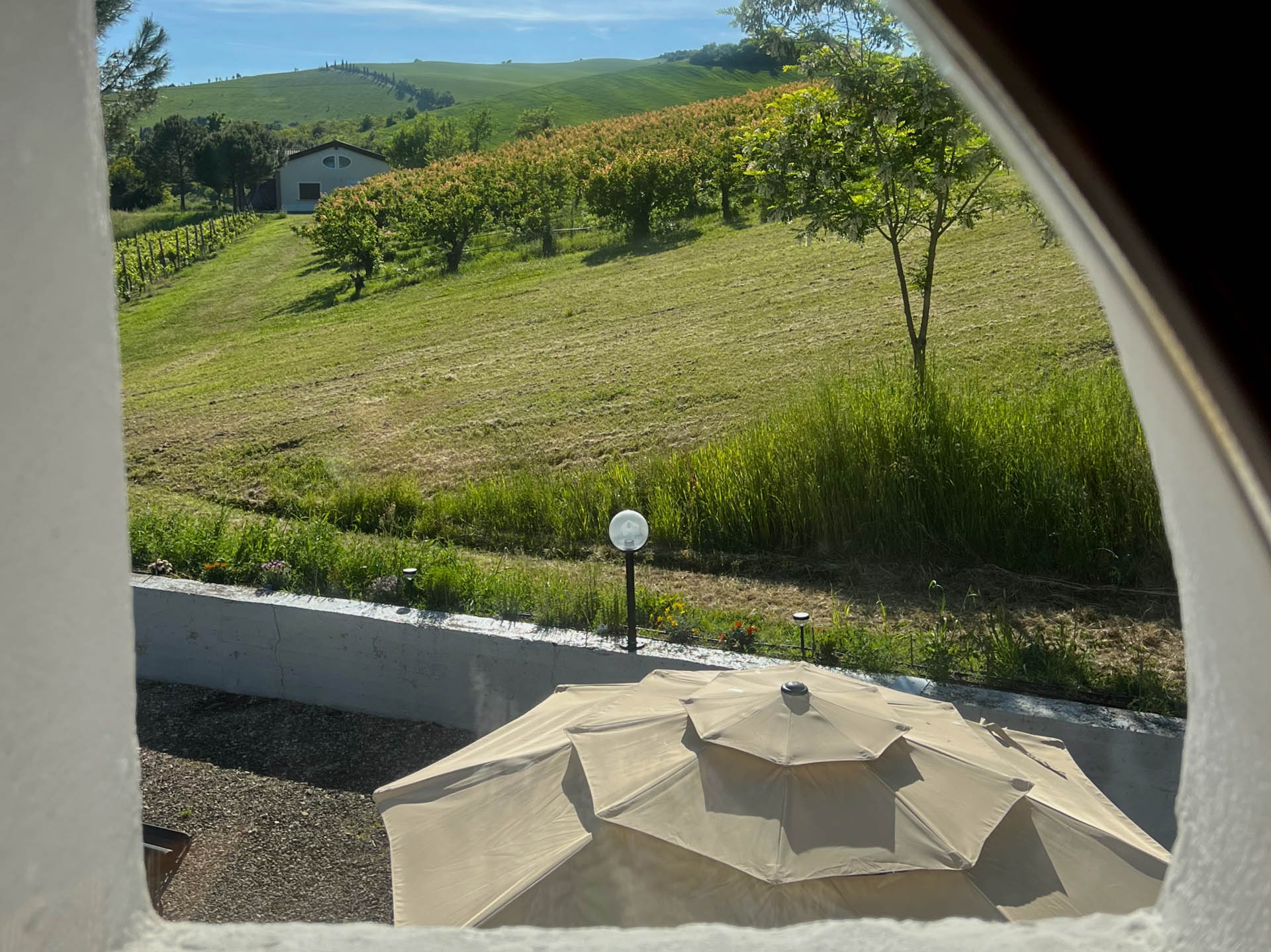 Bedroom with views of vineyards and green hills of Dozza