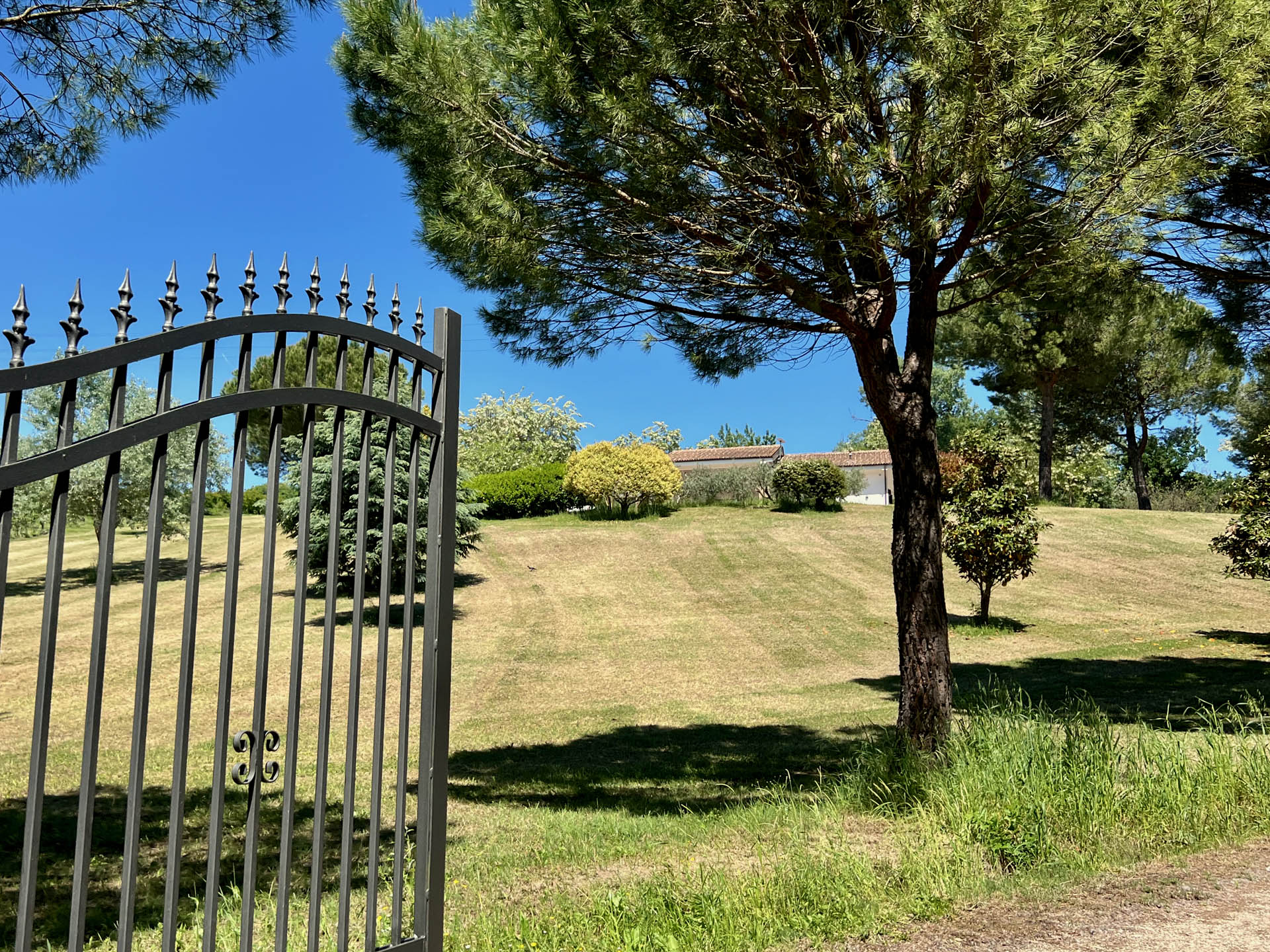 Entrance gate to Dolce Collina Holiday Home in Dozza opening onto tree-lined driveway