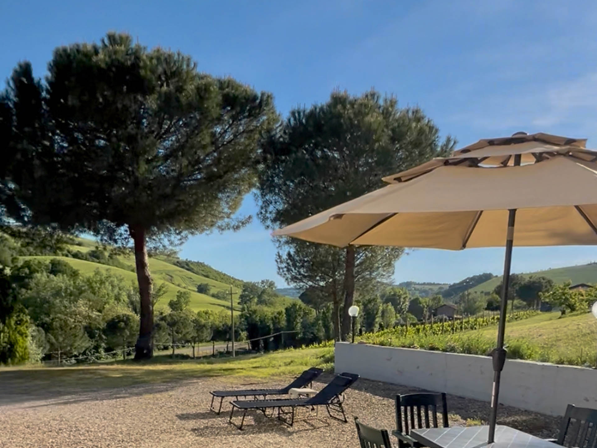 Terrace at Dolce Collina Holiday Home overlooking vineyards and rolling hills in Dozza