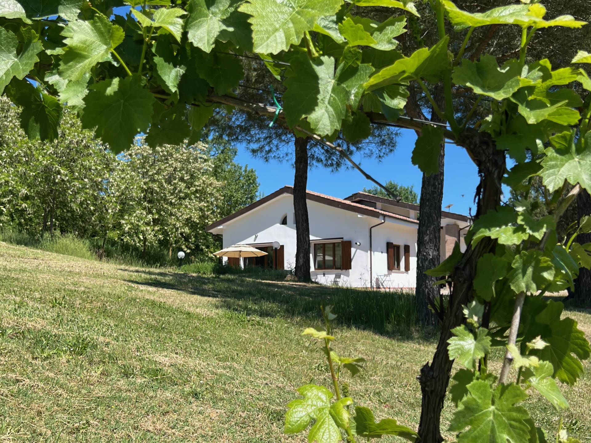 Holiday home surrounded by vineyards in the Emilia-Romagna countryside